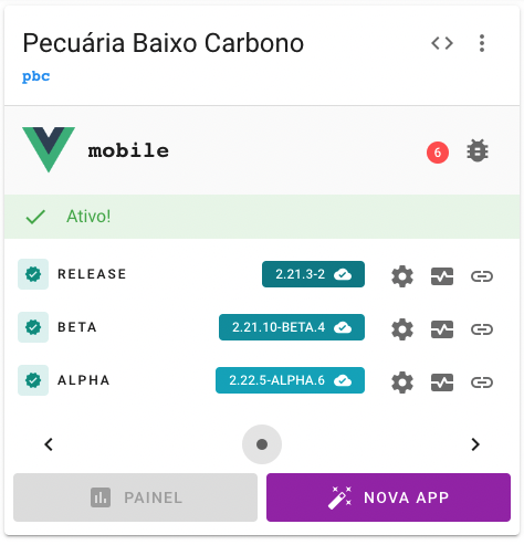 Card da app com informações das versões das builds instanciadas