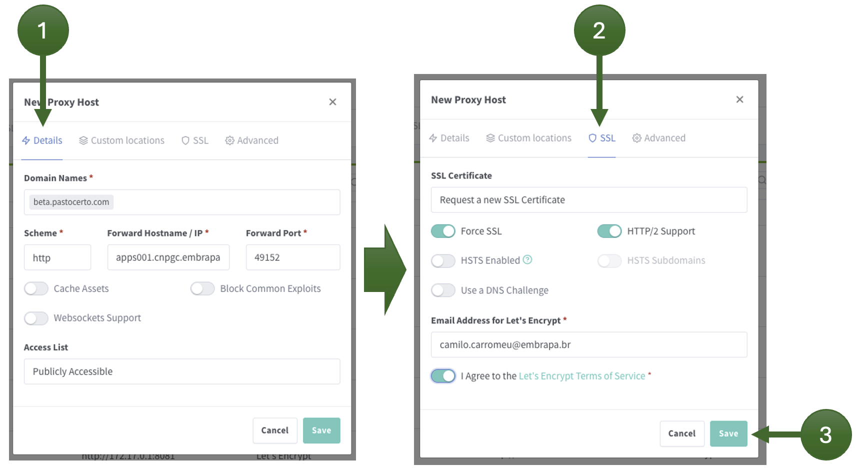 Configuração do Proxy Host no NPM